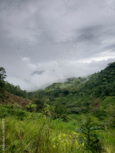 Montañas de Panamá, recurso hídrico, fauna y flora importante  © crist.cort