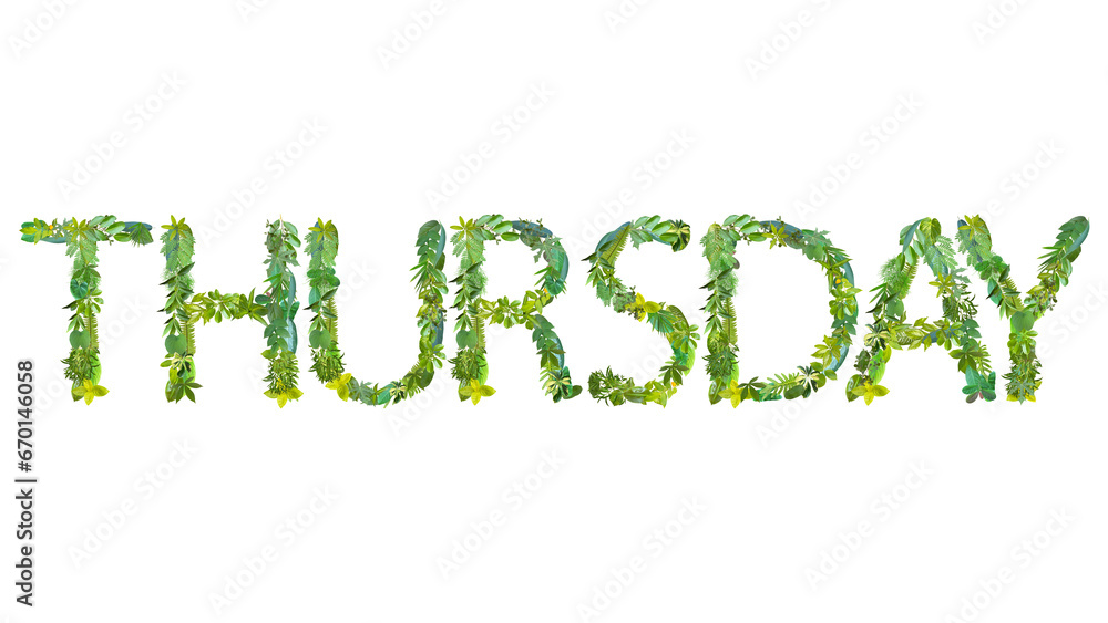THURSDAY, word or text made from various kinds of leaves isolated on transparent background, PNG, suitable for template design 