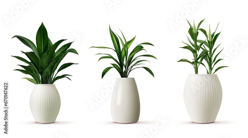  plant set different potted plants in ceramic pots. Home potted plants.