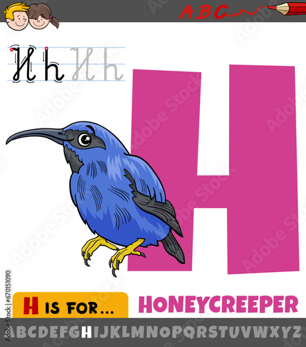 letter H from alphabet with cartoon honeycreeper bird