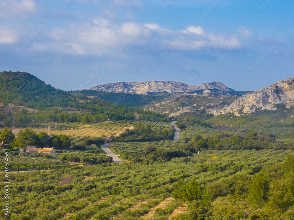 Landscape with a valley of the Alpilles covered with olive trees and some trees under the blue southern sky in Provence in France