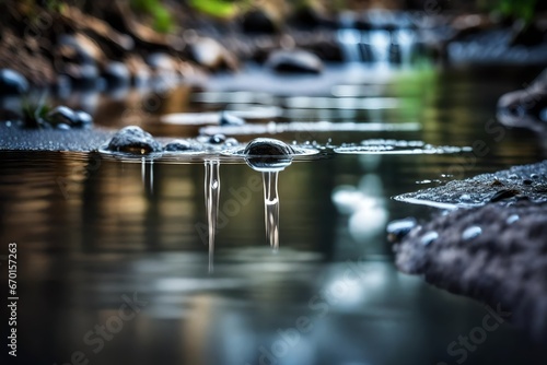 Falling Drops of Pure Water. Drops of water drip onto the surface of a small pond with clear water and a finely  photo