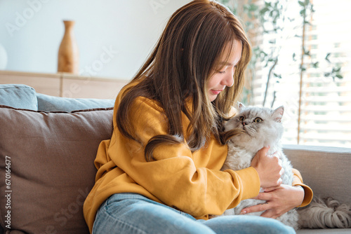 Happy young asian woman hugging cute grey persian cat on couch in living room at home  Adorable domestic pet concept.