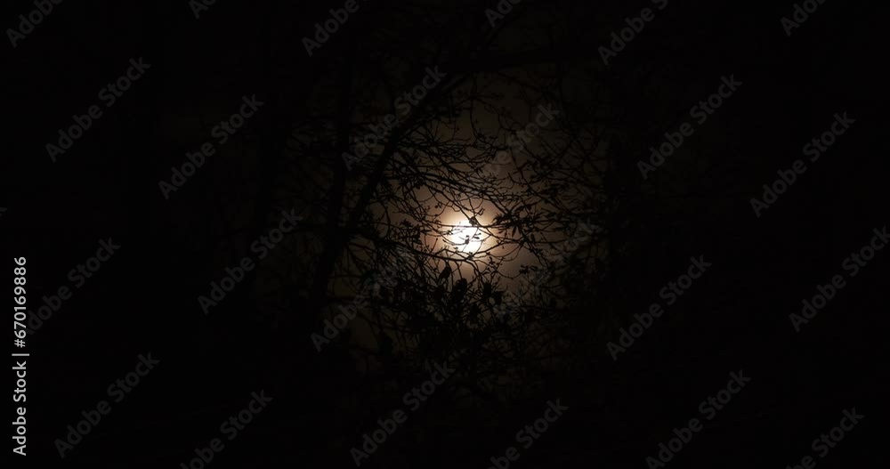 spooky silhouette of crows on tree branches with moon shining among the thin clouds at dark sky spooky silhouette of crows on tree branches with moon shining among the thin clouds at dark sky