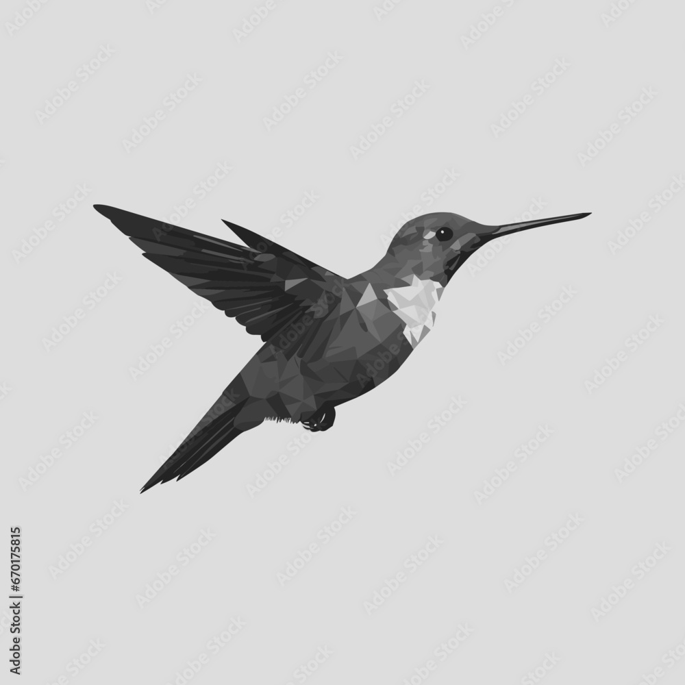 Fototapeta premium Hummingbird