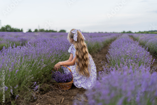 girl in a lavender field