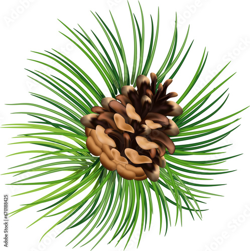 Christmas decorations plants realistic composition with green tree branches and pine cones vector illustration. Eps 10