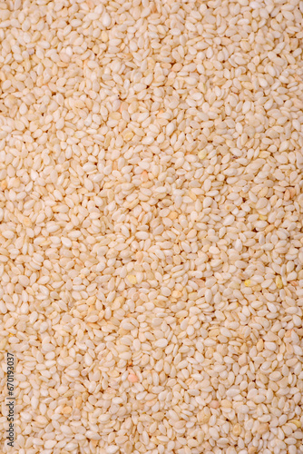 Raw white sesame seeds or grains in a bowl on a textured concrete background