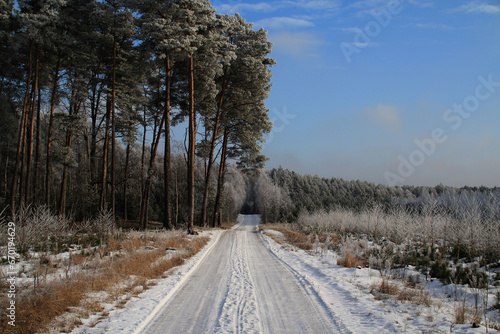 Droga przez las zimą