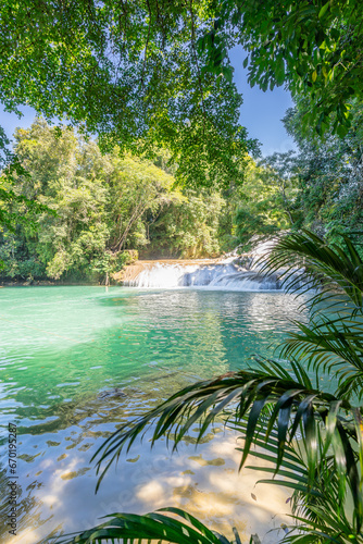 Roberto Barrios waterfalls with clear waters in tropical paradise in the jungle of  Mexico  Chiapas.