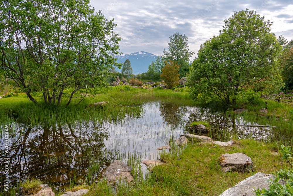 Fototapeta premium die Stadt Tromsø in Norwegen am Polarkreis mit herrlichen Bauten am Fjord und einem botanischen Garten