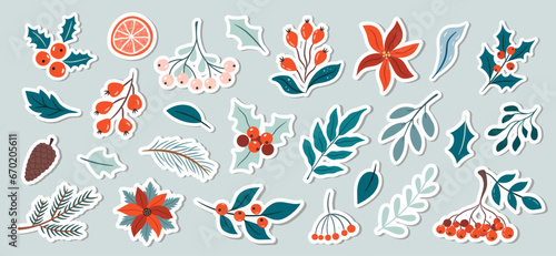 A set of winter plant stickers. Hand drawn christmas botany elements