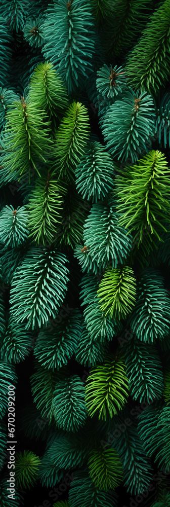 A close up of pine cones and branches background pattern.