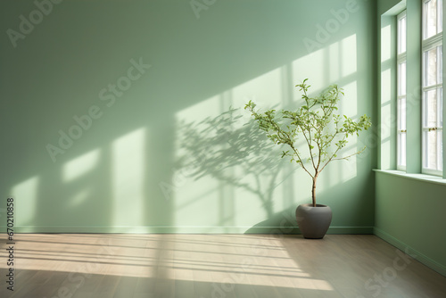 Minimalist background with green room interior, shadows on the walls.
