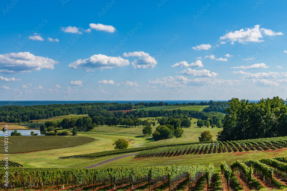 Landscape of Virginia Wine Country near Charlottesville, Virginia, USA
