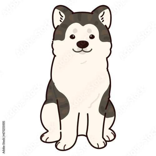 Simple and adorable outlined dark colored Akita Dog sitting in front view © You