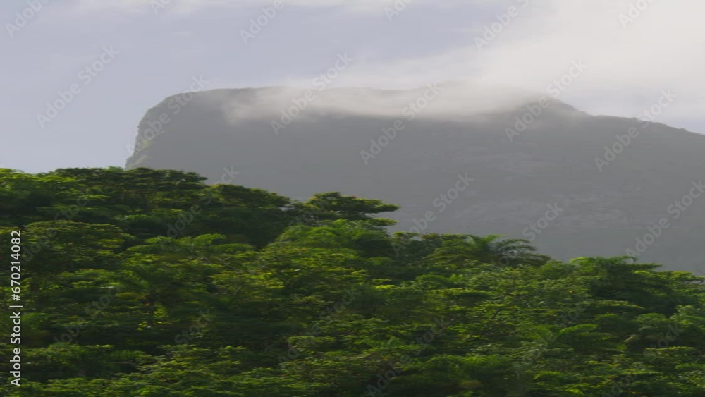 Time lapse of clouds blowing over trees on rock formation - vertical video / Moorea, French Polynesia Time lapse of clouds blowing over trees on rock formation - vertical video / Moorea, French Polynesia