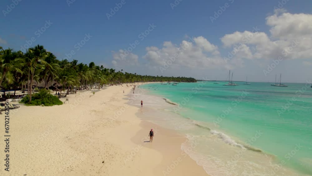 Caribbean White Sand Beach on a Tropical Isla Saona Island with Palm trees and Blue Water (Aerial Drone View in 4k)