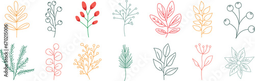Set of hand drawn line winter botany elements. Holiday decoration. PNG