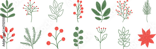 Set of Christmas plant and leaves. Hand drawn winter elements. Holiday decoration. PNG