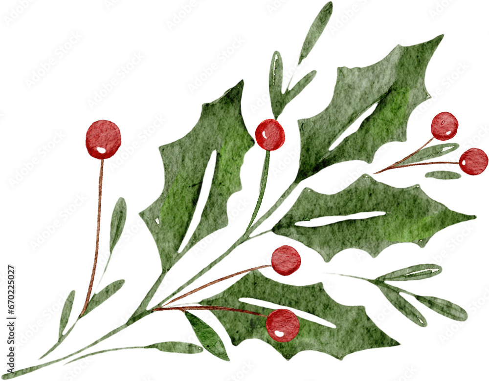 Fototapeta premium Christmas Berry Watercolor