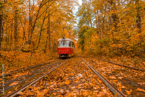 Autumn forest through which the tram travels, Kyiv and rails