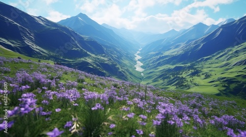 An aerial view of a lush valley filled with Celestial Campanula, creating a mesmerizing natural carpet of colors.