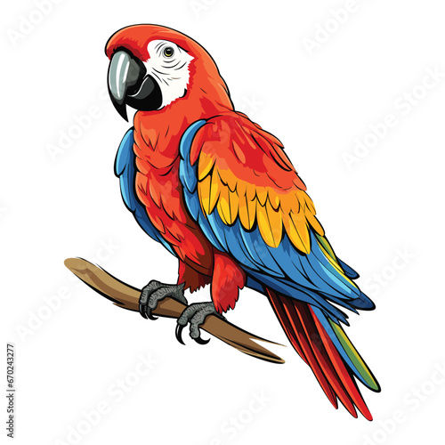 Hand Drawn Flat Color Parrot Illustration
