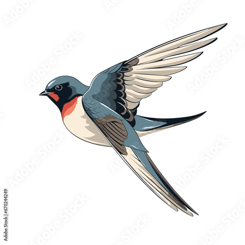 Hand Drawn Flat Color Swallow Bird Illustration