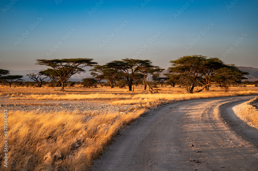 Fototapeta premium Samburu Nationalpark - Kenia