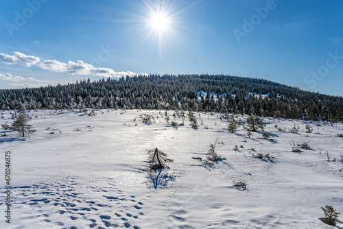Sunny winter day at Cihadla peat-bog in Jizera Mountains, Czechia