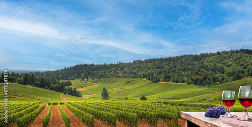 Scenic vineyard with wine glasses and grapes