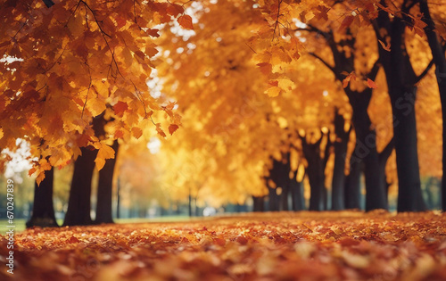 Defocused Colorful Bright Autumn Ultra Wide Panoramic Background with Blurry Red, Yellow, and Orange Accents