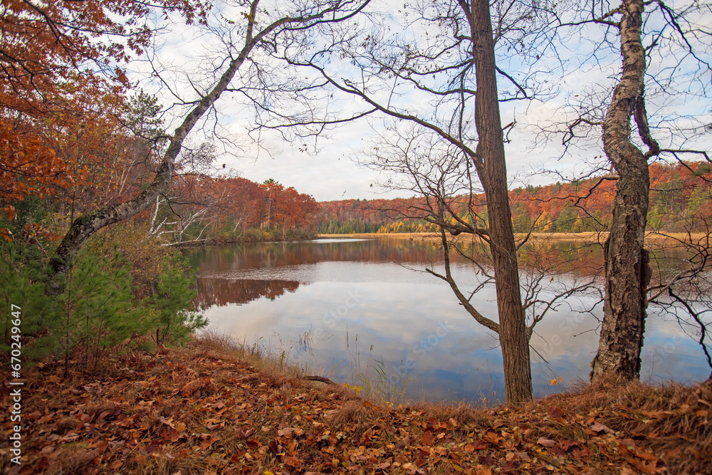 Fototapeta premium AuSable River - Cooke Pond - Pine Acres - Huron National Forest