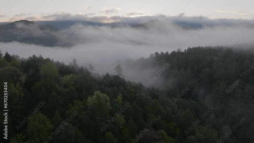 Foggy mountains before dawn Foggy mountains before dawn
