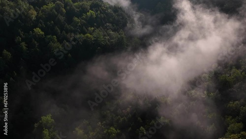 Mountain valley in fog at dawn