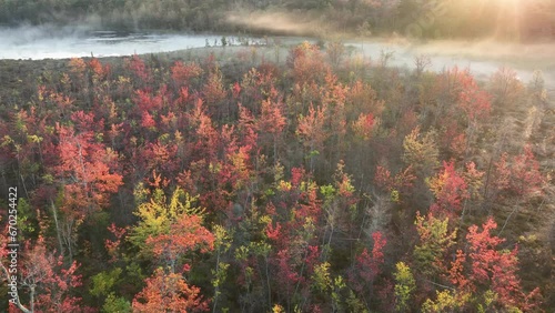 Wetland in fall color at sunrise