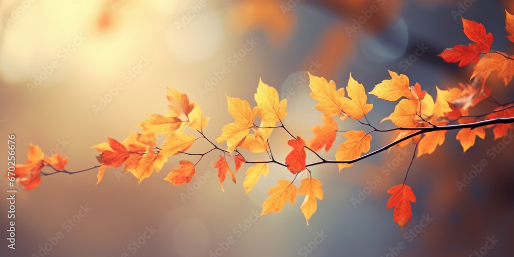 Beautiful autumn background with yellow leaves on blurred bokeh background Beautiful autumn background with yellow leaves on blurred bokeh background