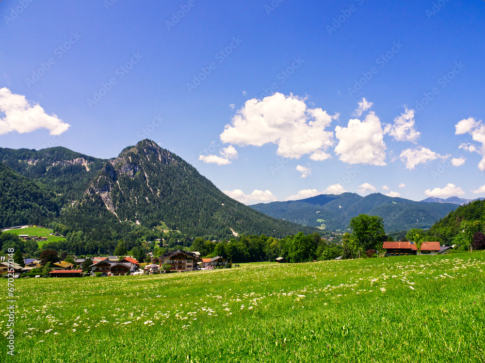 Bavarian alps landscape meadow in summer