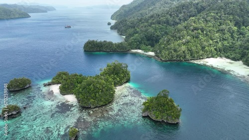 Limestone islands, covered by rainforest, are fringed by coral reefs in Alyui Bay, Raja Ampat, Indonesia. The coral reefs of this tropical region support the greatest marine biodiversity on Earth. photo