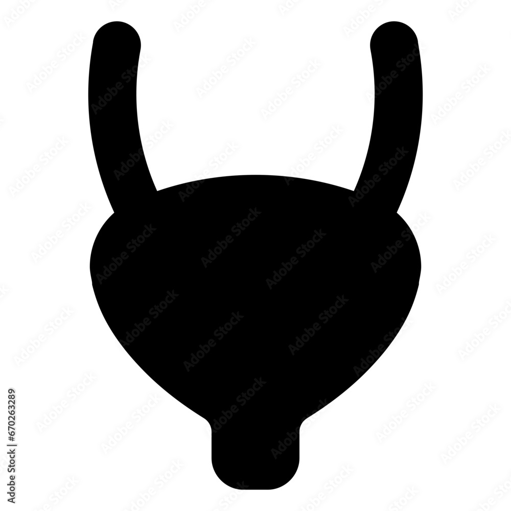 bladder bladder