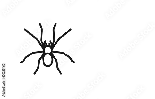 vector image of a spider