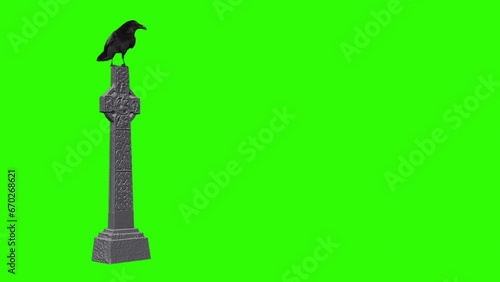 Raven on a grave headstone green screen