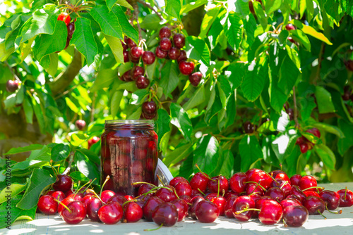 Obraz na plátně Harvest season of sweet cherries