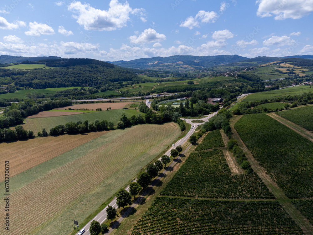 Vineyards of Maconnaise regional appellation, wine making in Burgundy near Macon, France