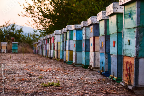 beehive boxes arranged in the nature far from city pollutants