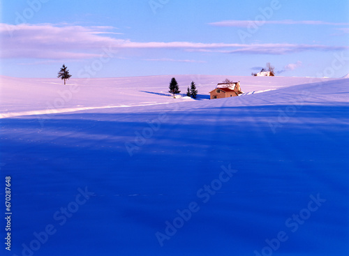 夕暮れの雪原(美瑛町）