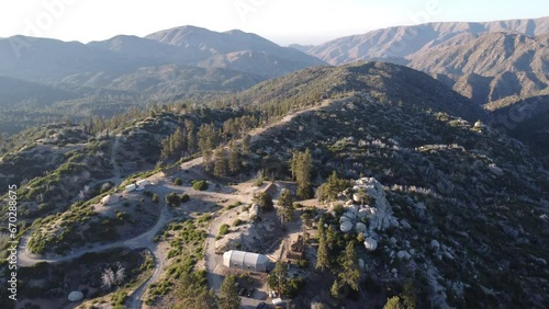pine forest in the mountains