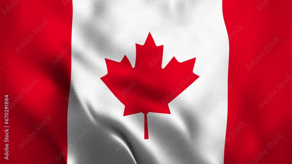 Canada flag. Canada Flag waving with high quality texture in 4K National Flag. seamless loop animation of the canada flag. Canada flag. Canada Flag waving with high quality texture in 4K National Flag. seamless loop animation of the canada flag.