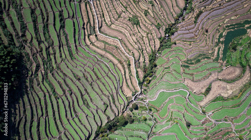 Drone flight above authentic rice terraces near Fuzhi mountain Dongcheng village at Shaoxin, Zhejiang provnice, China. High angle view of rice terrace fields in mountains. © atiger